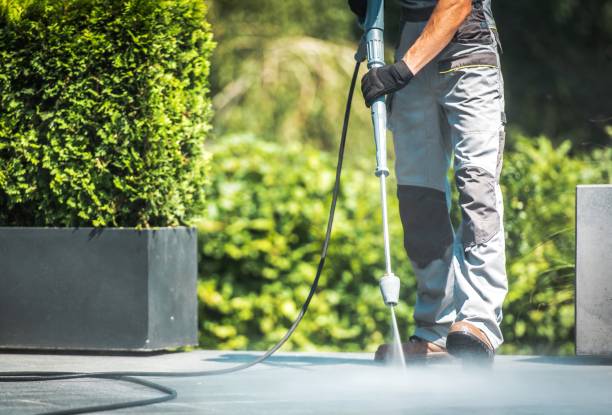 Best Sidewalk and Walkway Cleaning  in Preston, IA